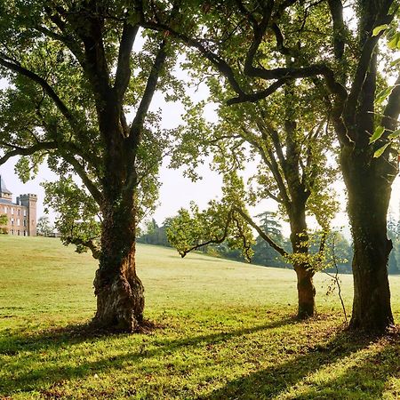 Chateau De Sibra Lagarde  Buitenkant foto
