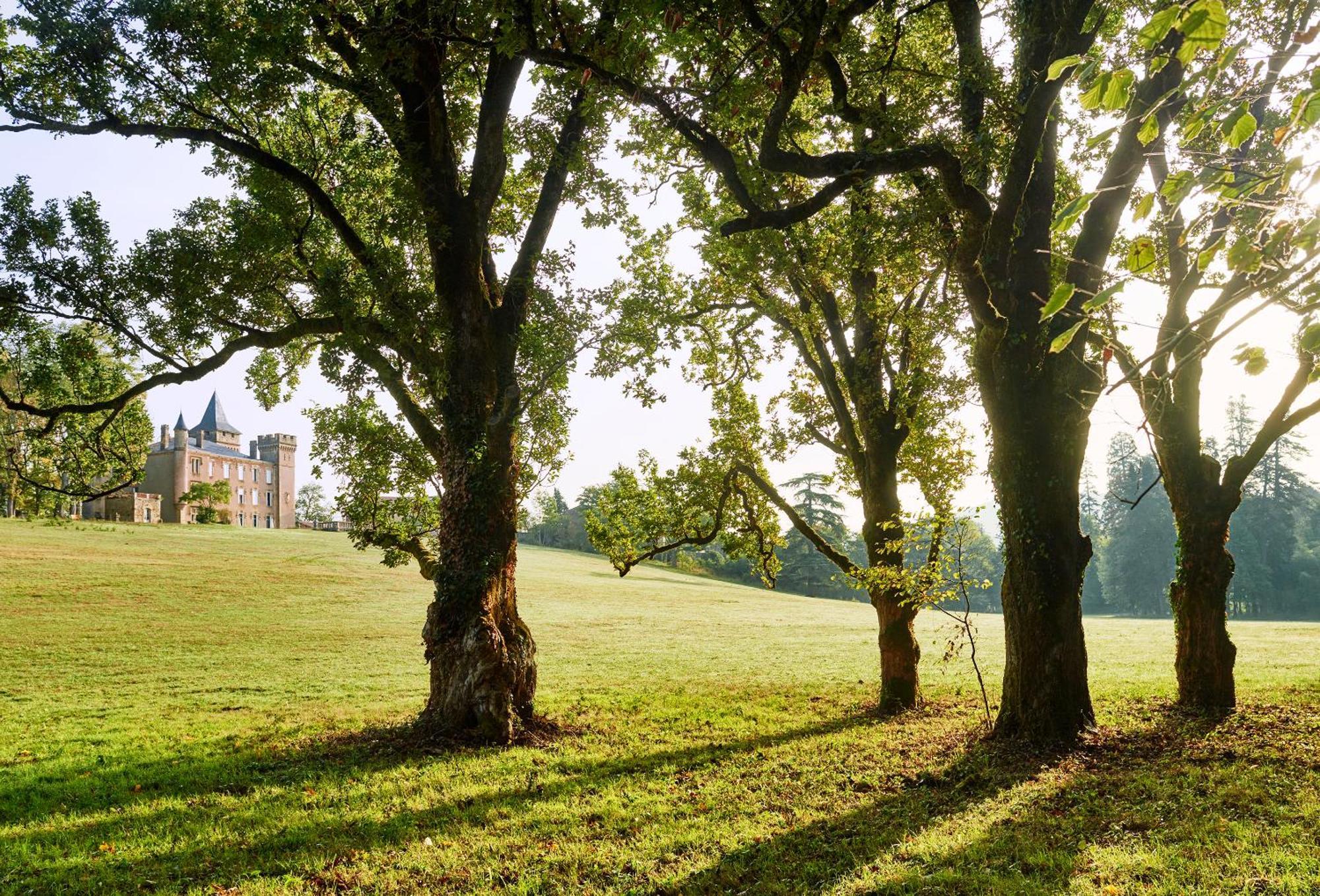 Chateau De Sibra Lagarde  Buitenkant foto